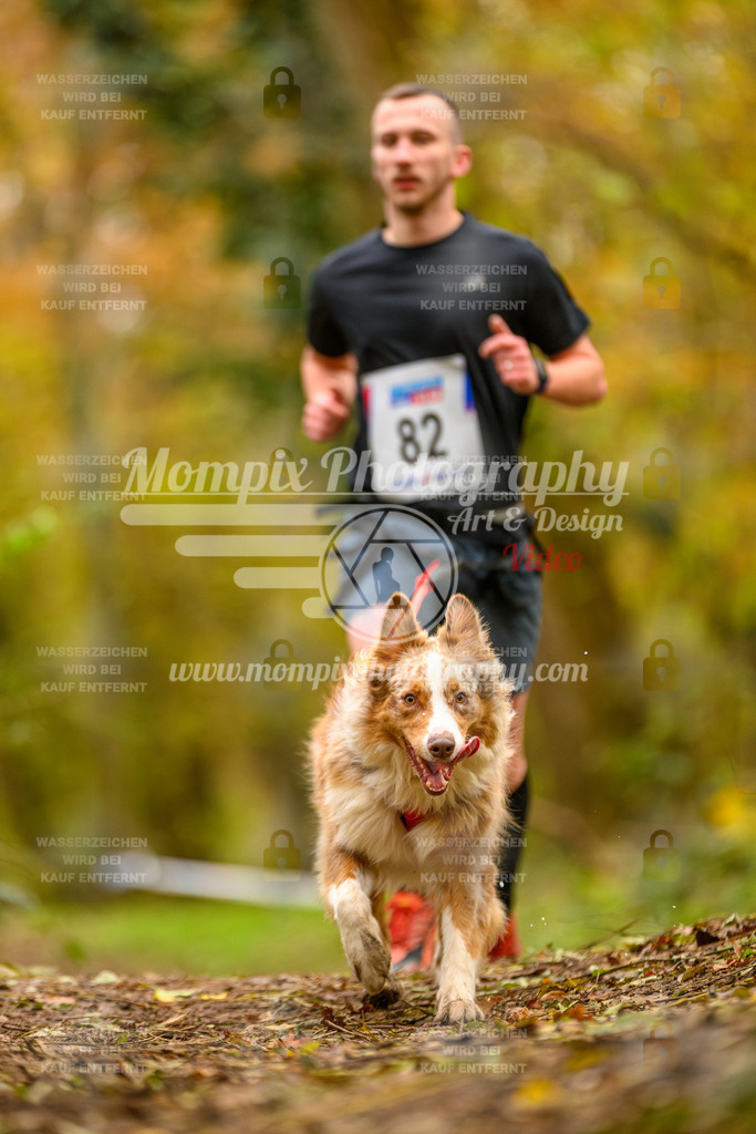 MompixPhotography_Bischwiller24_SA_Canicross-121 | PayLife