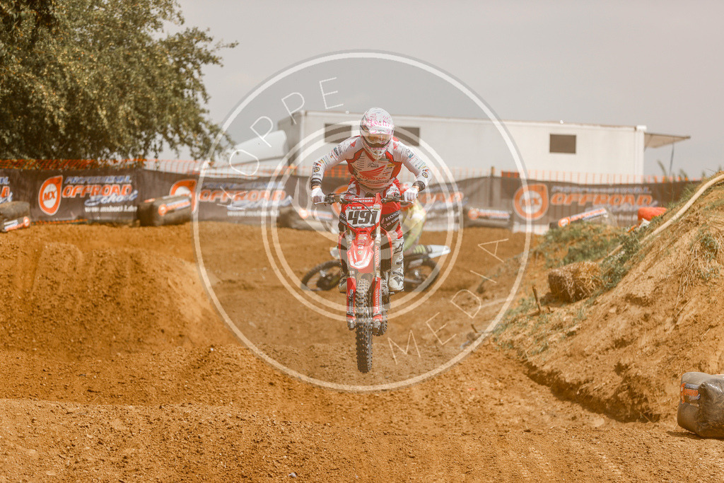 Sx Series 1-2257 | koppe-media - Realisiert mit Pictrs.com