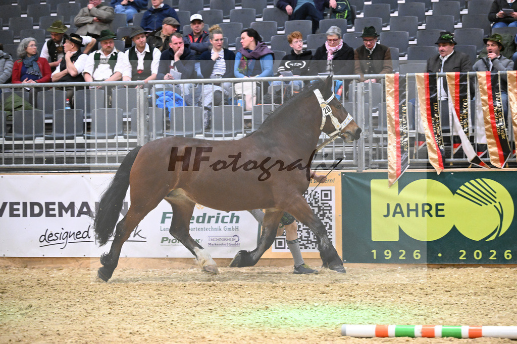 Kat-Nr. 20 Johanna v. Schwansee_Engelhard_1260297 | hf-fotografie - Realisiert mit Pictrs.com