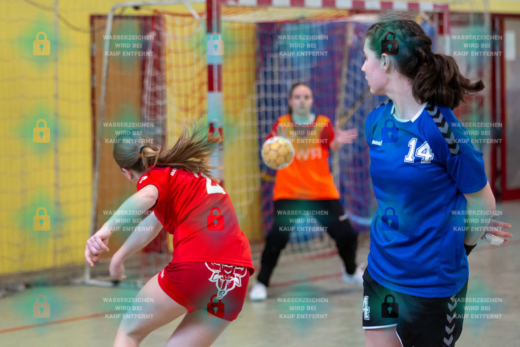 _HP_4758_3000o | JSG Welling/Bassenheim  wJ B2 gegen TV Bitburg 10.03.2024