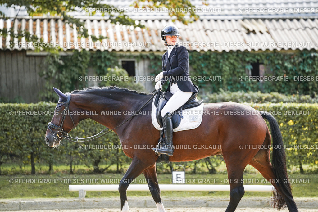 DSC08941 | Pferdegrafie