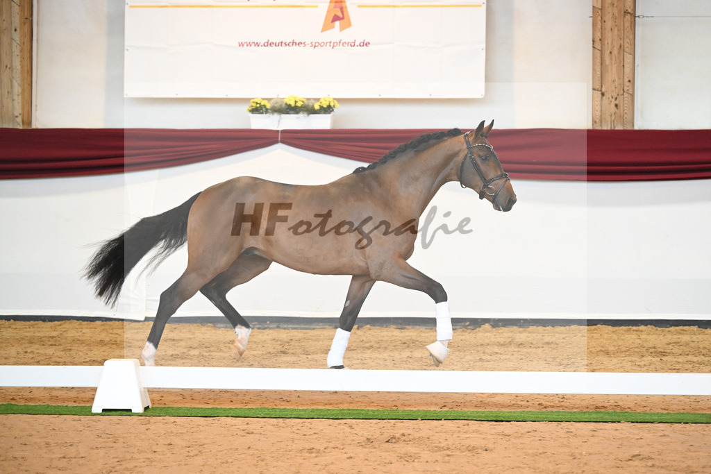 Kat-Nr. 3 v. Baron_Brors_66221575 | hf-fotografie - Realisiert mit Pictrs.com