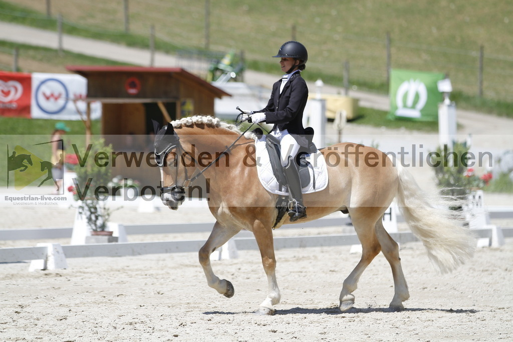 _MG_5050 | equestrian-live-com