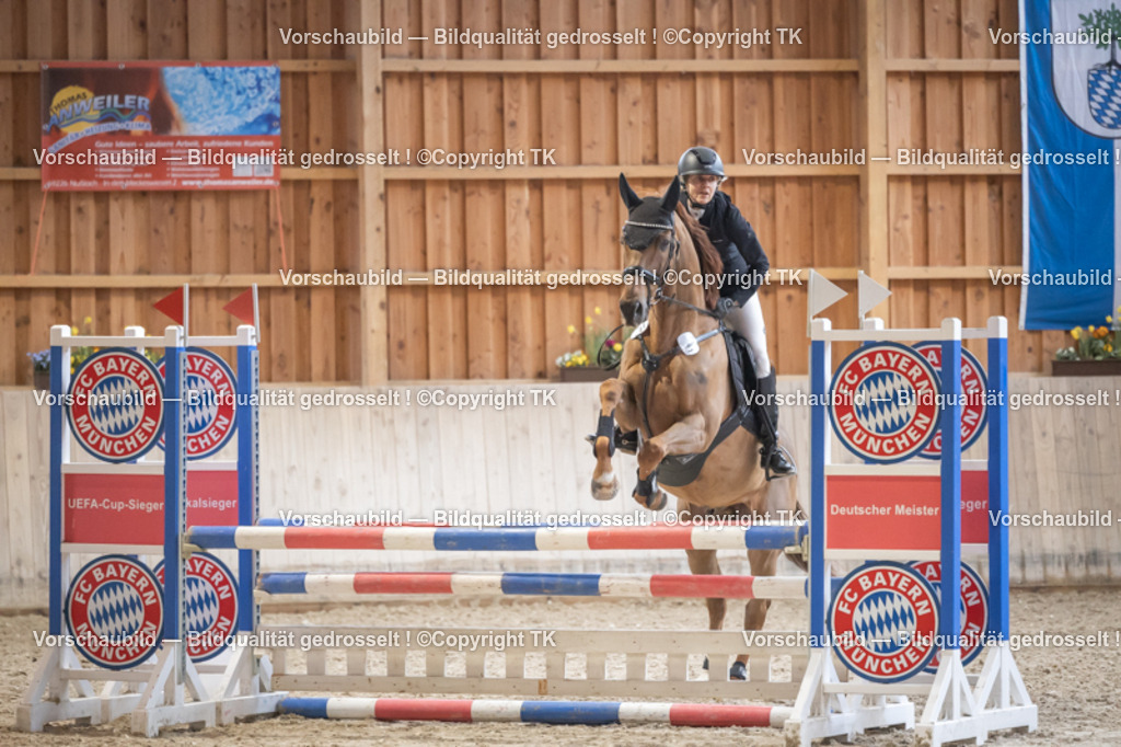 _D5A7664 | Emotionale Pferde- & People-Fotografie rund um Heidelberg, Leimen & Umgebung. Natürliche Fotos von Pferd, Mensch & Familie. Jetzt Termin sichern!