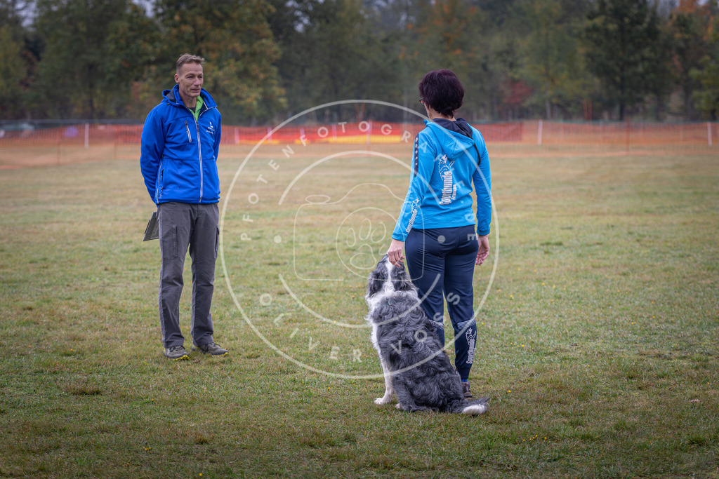 Pfotenfotografie_DV3A9136 | Hundefotografie, Tierfotograf, Pfotenfotografie, Fotoshooting Hund, Hunde Portrait, Hundesport, Hundeportraits, Heideshooting, Hunde, Sportfotograf, Hundefotograf, Turnierhundsport, THS,  - Realisiert mit Pictrs.com