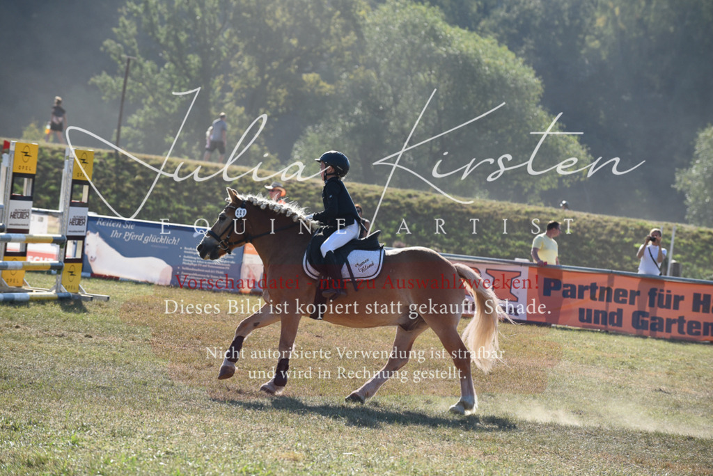 DSC_5797 | Pferde- und Turnierfotografie in Westsachsen. Pferdeportraits, Auftragszeichnungen und intuitive Kunst.