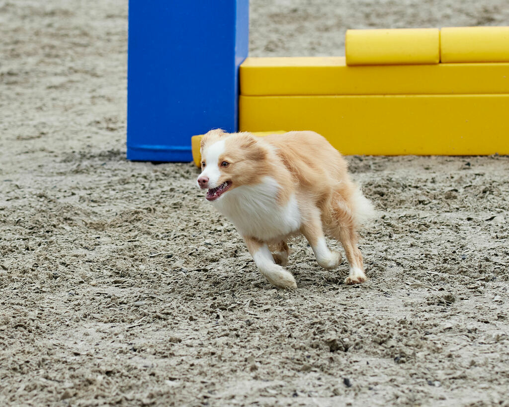 580A0217 | Peter Fridle Fotografie - Realisiert mit Pictrs.com