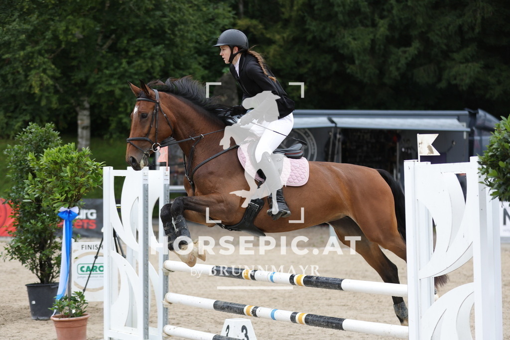 0P6A0954 | Willkommen bei Brunnmayr - Design & Fotografie – Ihrem Spezialisten für Reitturniere und Pferdeveranstaltungen in Oberösterreich, Salzburg und Bayern! Seit über 17 Jahren sind wir leidenschaftlich dabei.
