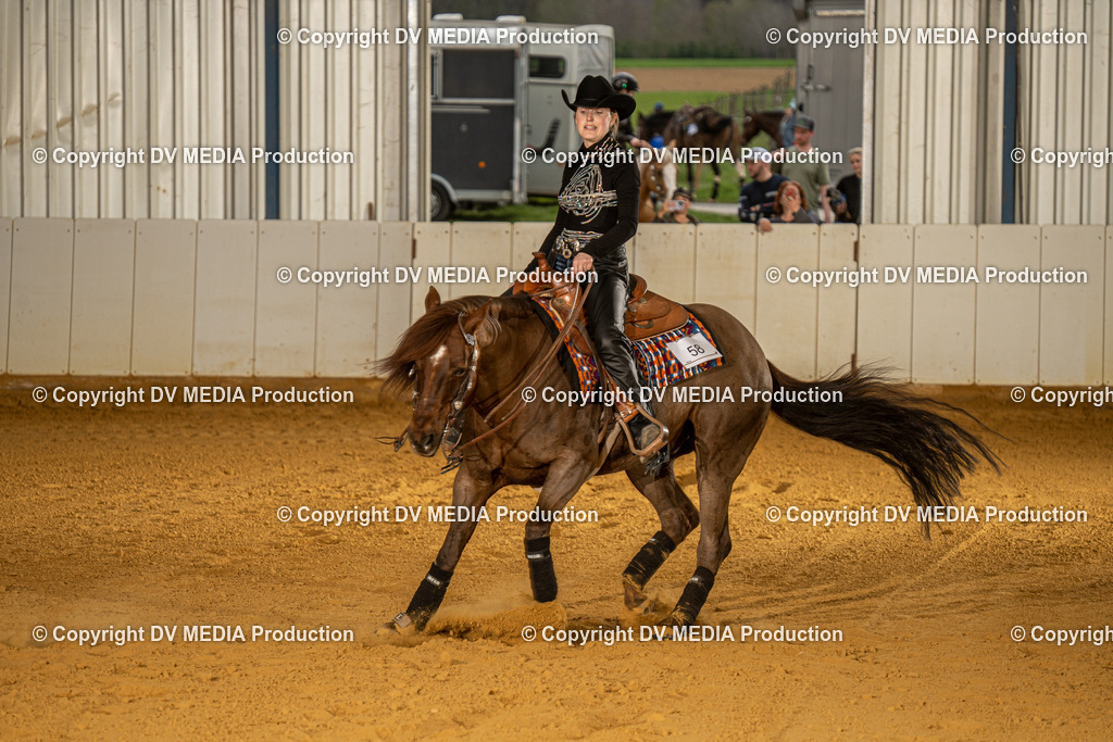 MIT00535 | dv-media-shop - Realisiert mit Pictrs.com