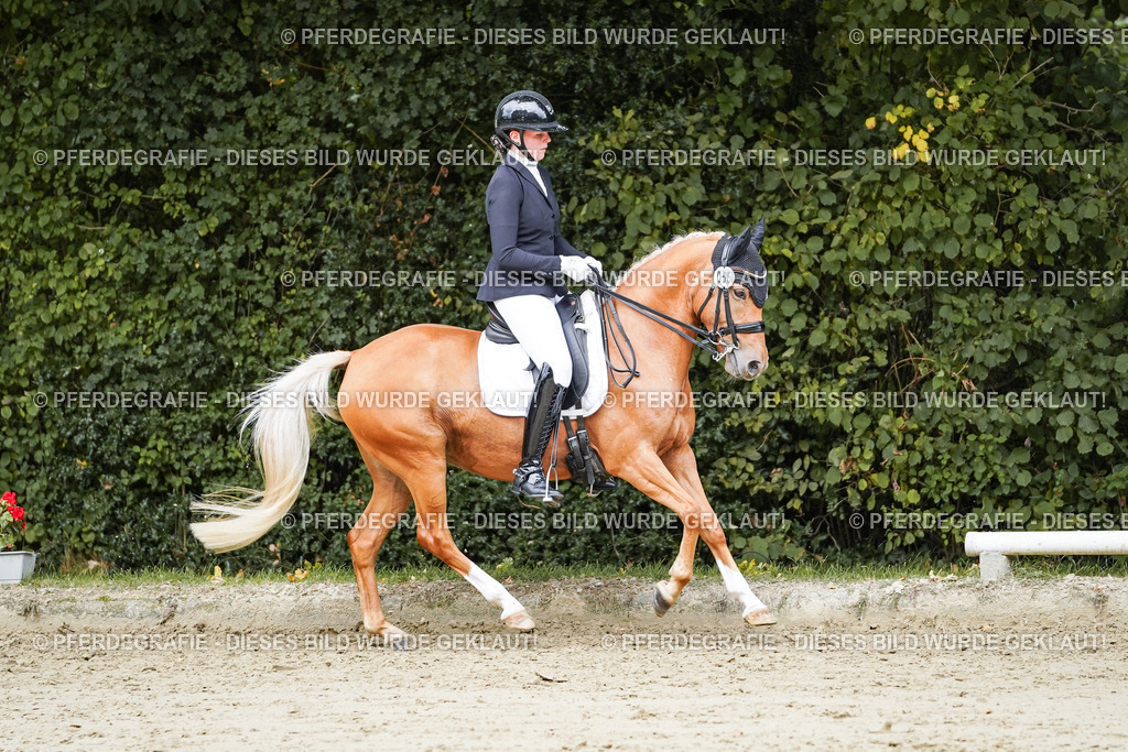 DSC04193 | Pferdegrafie