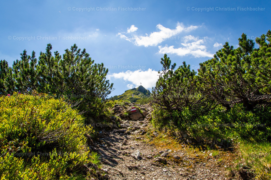 Fotos_Copyright_Chri_Fischbacher_Druck-6 | Bildershop Chri Fischbacher - Realisiert mit Pictrs.com