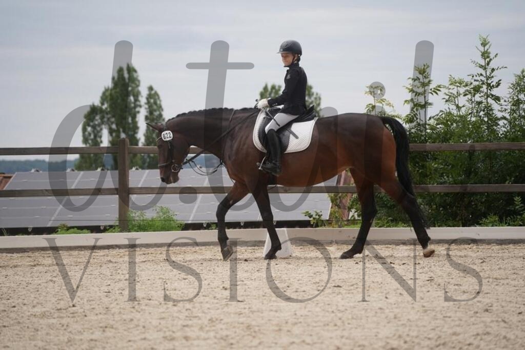 tgbhsamstag (1757) | d.tail Visions - Shop - Realisiert mit Pictrs.com