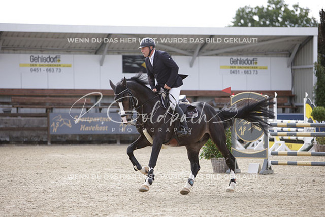 1J2A1139Philip Loven_ Mr. Million 2_ Kn756_ Havekost | Foto- und Videografie für alles rund ums Pferd. Hochwertige Bilder und Videos vom Spring- und Dressurreiten, Voltigieren & mehr. Jetzt aktuelle Veranstaltungen und Preise im Shop ansehen. - Realisiert mit Pictrs.com