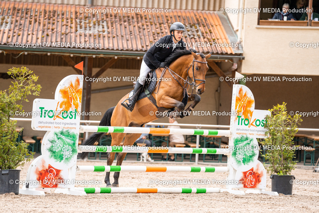 Eppelheim Tag 1-150 | dv-media-shop - Realisiert mit Pictrs.com