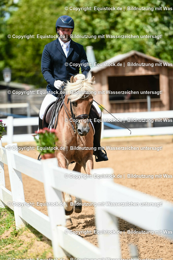 20230716_01_Dressurprüfung Kl.M_0154 | equistock