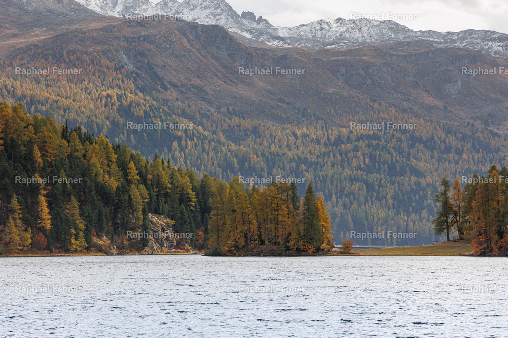 IMG_9523 | Erlebe eindrucksvolle Landschaftsfotografie aus dem Engadin und darüber hinaus. Raphael Fenner bietet zudem professionelle Fotoaufträge für Hochzeiten, Porträts und Unternehmen. Jetzt entdecken und inspirieren lassen!