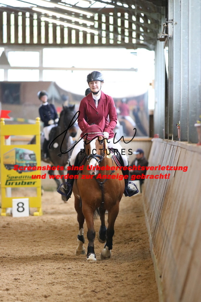 IMG_6034 | lmwpictures - Realisiert mit Pictrs.com