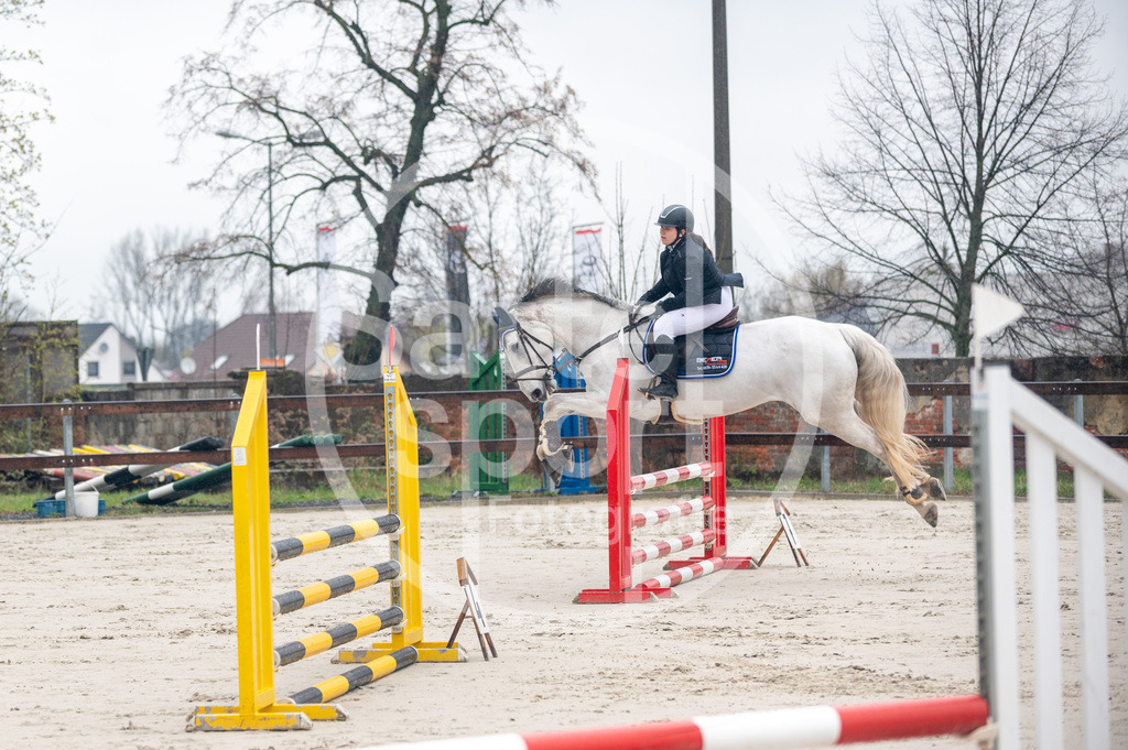 DSC_8280 | sattelsport - Realisiert mit Pictrs.com