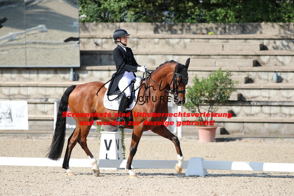 IMG_9123 | lmwpictures - Realisiert mit Pictrs.com