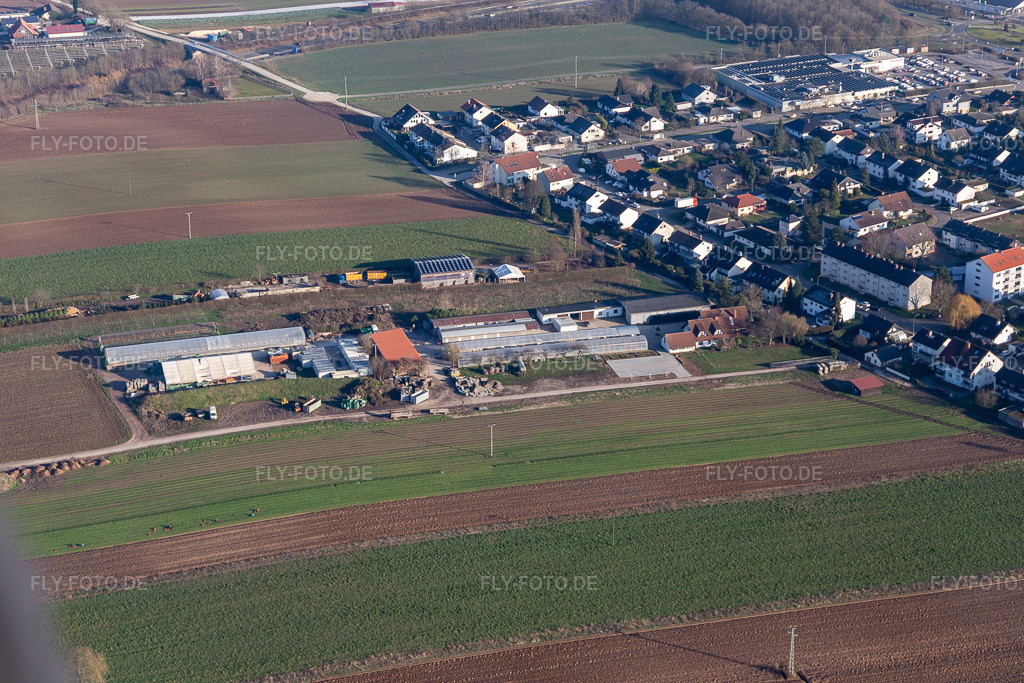 Luftbild: Kasa Landschaftsgärtner Kugelmann in Kandel im Bundesland Rheinland-Pfalz in Deutschland. Foto: IMG_120056.jpg vom 07.02.2020 durch Werner Riehm/FLY-FOTO.de