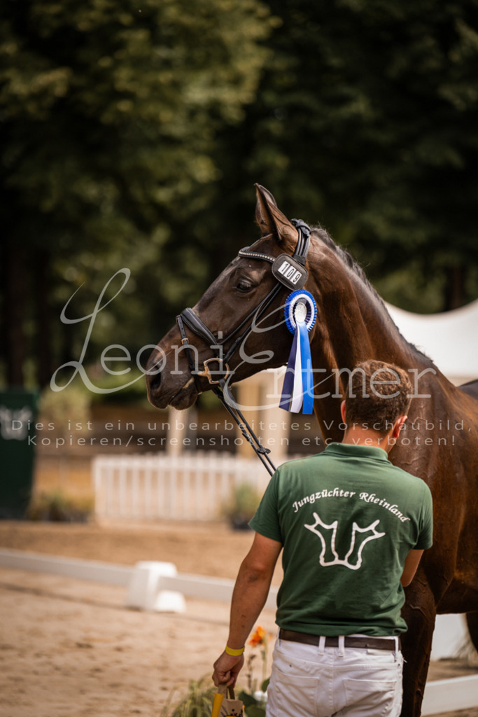 3.Fr00159 | Leoni Ertmer Photography - Realisiert mit Pictrs.com