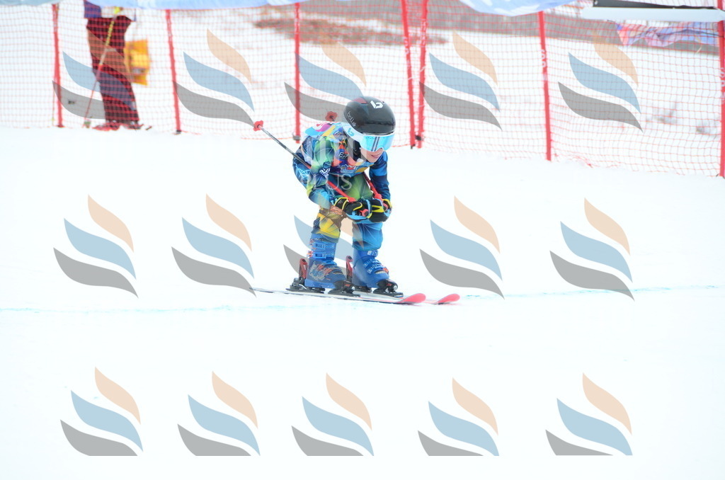 DSC_1354 | holidayphoto