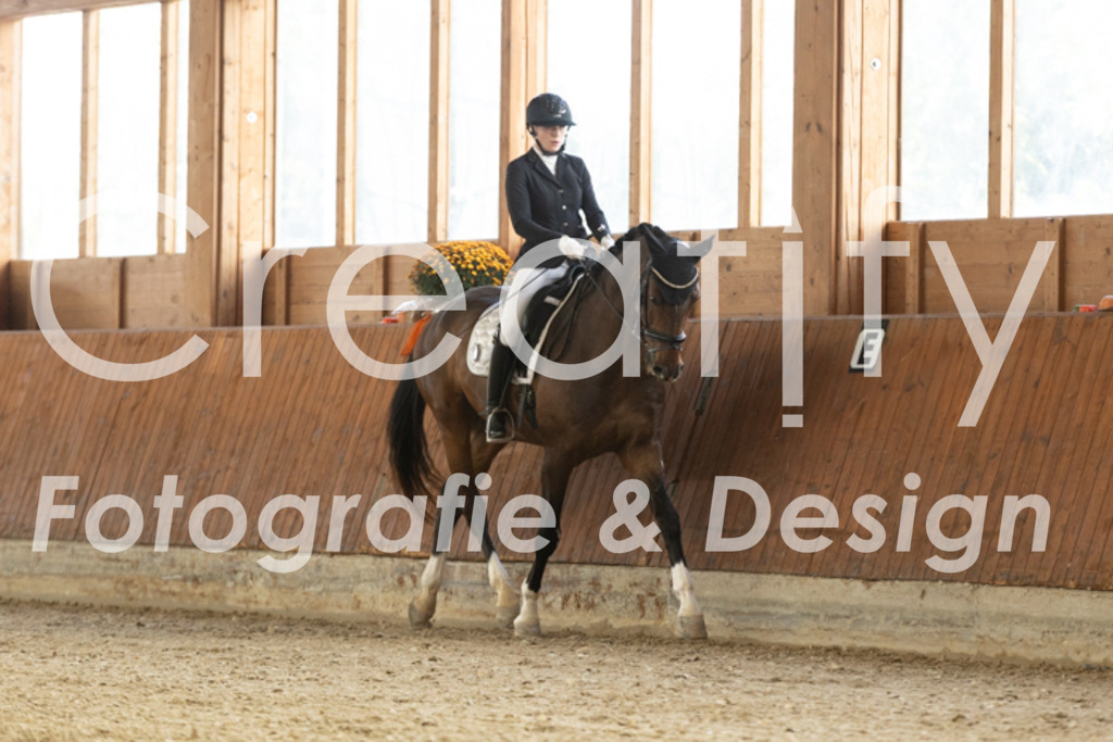 IMG_2477 | Creatify Fotografie