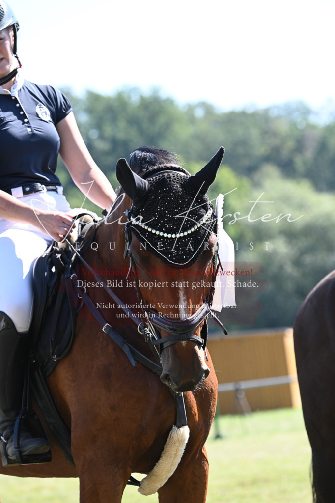 DSC_6495 | Pferde- und Turnierfotografie in Westsachsen. Pferdeportraits, Auftragszeichnungen und intuitive Kunst.
