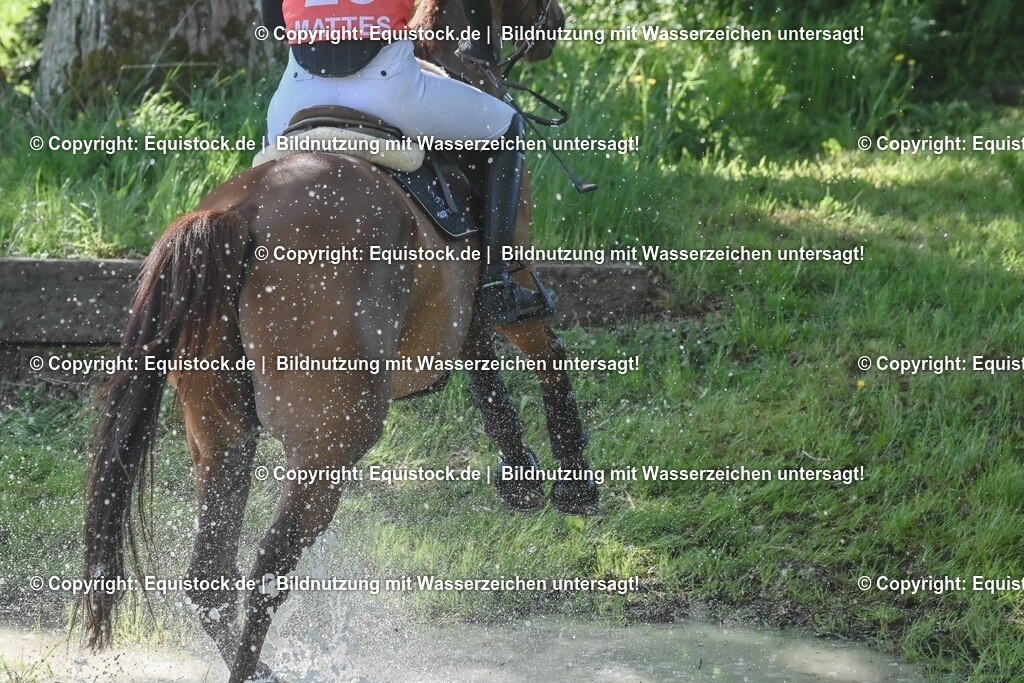 20250517_CCI2_Gelände_0720 | Foto: Thomas Hartig