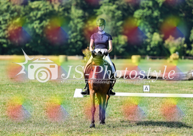 20260628_14a_VA_Dressur-142 | JS-Photostyle - Sport-/Portrait- & Eventfotografie