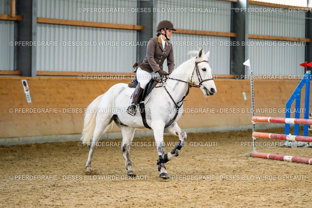 DSC00663 | Pferdegrafie