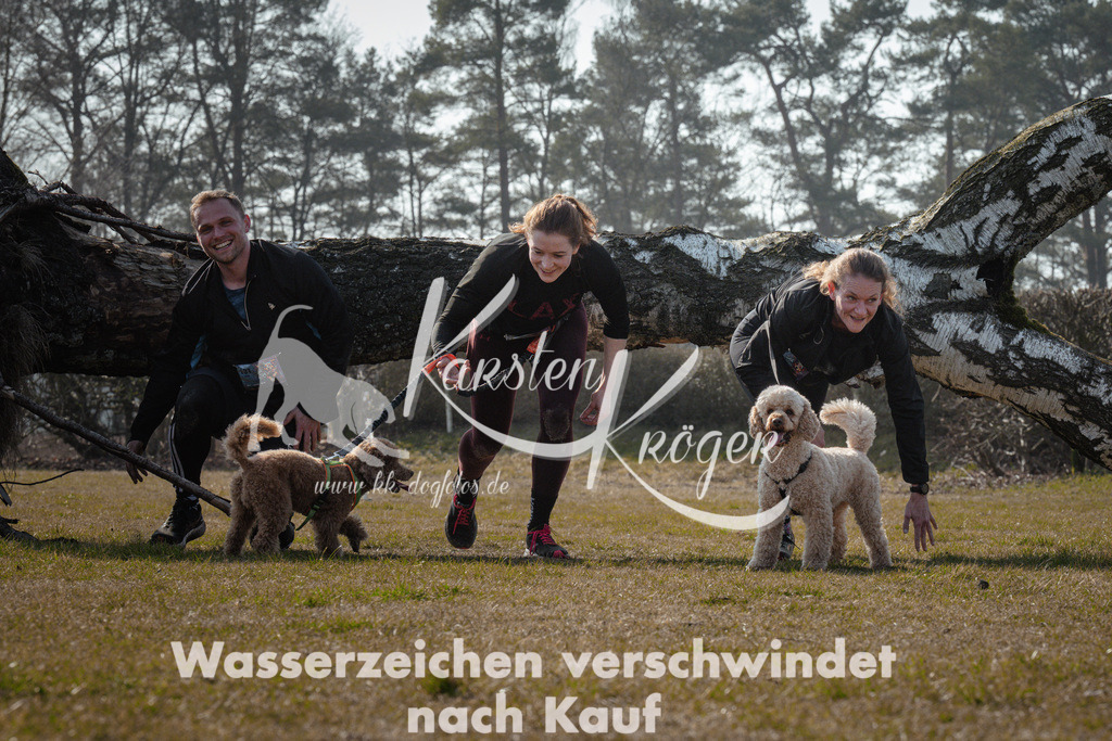 1110_ZZ94976 | kk-dogfotos