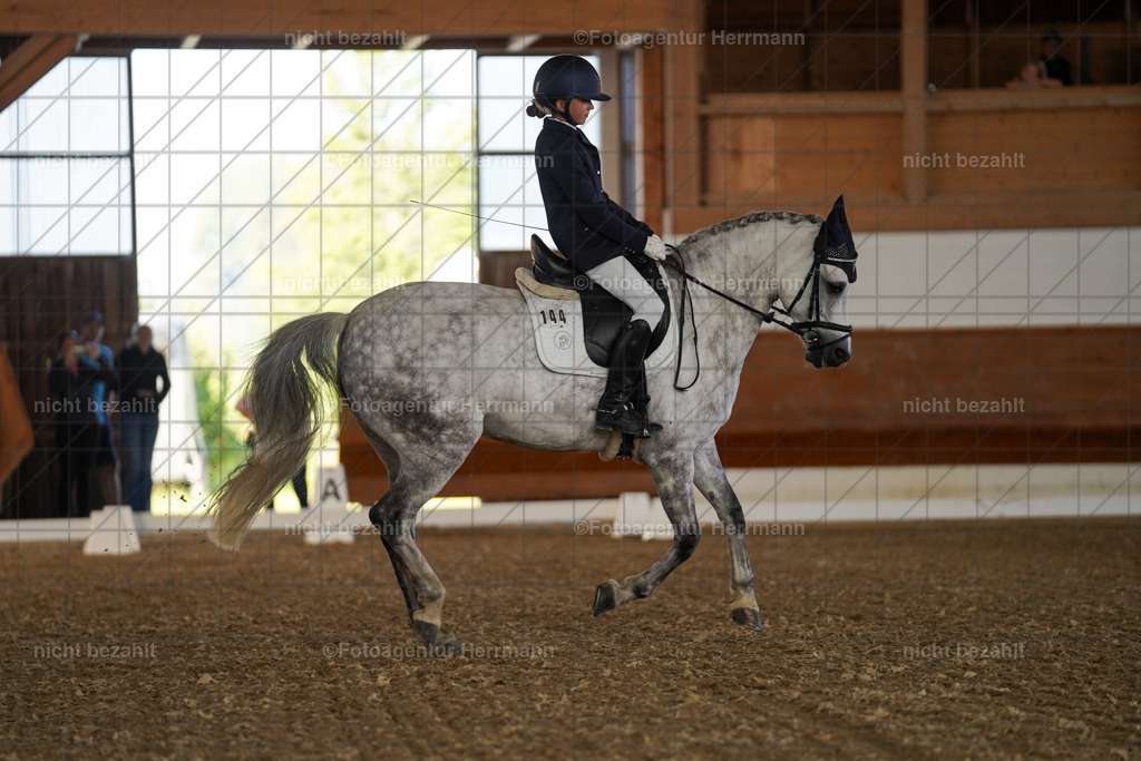 20240824-FAH06983 | Thierhaupten 2024, Bayerisches Landesponyturnier, Turnierbilder, Ponybilder, Turnierfotografen Bayern, Fotoagentur Herrmann