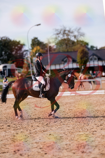2026_10_03_Siefer-Hof_132235_Z81_72119352 | Professionelle Reitsport-, Turnier- und Eventfotografie von Robert Broda. Galerien mit ausgewählten und bearbeiteten Bildern direkt online ansehen und bestellen.