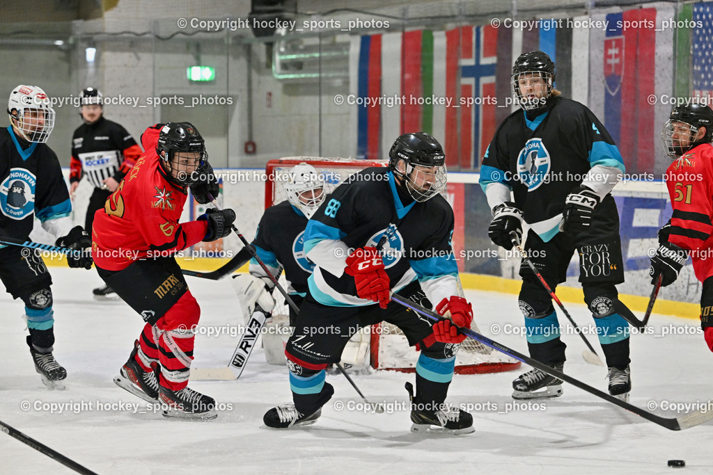 Lendhafen Seelöwen vs. Spartans Althofen | #51 Titze Lukas Spartans Althofen, #4 Kompain Mark Lendhafen Seelöwen, #88 Katnik Sebastian Lendhafen Seelöwen, #69 Köck Jakob Spartans Althofen, #37 Juch Lukas Lendhafen Seelöwen, #11 Göhringer Marius Lendhafen Seelöwen, Lendhafen Seelöwen vs. Spartans Althofen, Lendhafen Seelöwen vs. Spartans Althofen am 14.02.2025 in Ferlach (HTC Eishalle Ferlach), Austria, (Photo by Bernd Stefan)