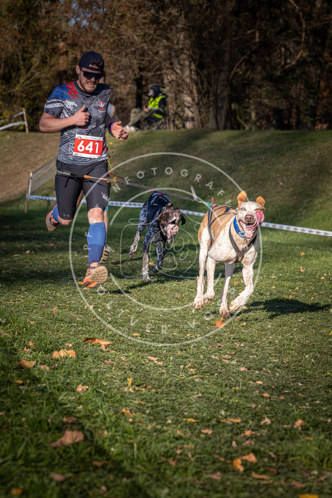 CaniXpix_0L8A9012 | Hundefotografie, Tierfotograf, Pfotenfotografie, Fotoshooting Hund, Hunde Portrait, Hundesport, Hundeportraits, Heideshooting, Hunde, Sportfotograf, Hundefotograf, Turnierhundsport, THS,  - Realisiert mit Pictrs.com