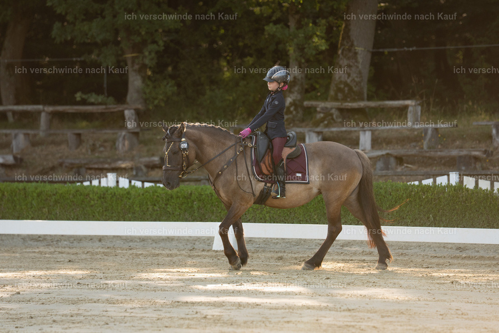WA_DR_9_SinaFilmArt_IN00198 | working equitationturnier fotograf videograf stoibphotography marixx film working equitation deutschland reitsport turnierfotografie eventfotografie equestrian events
