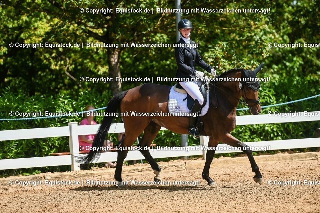 20230715_02_Dressurreiterprüfung Kl.L_0086 | equistock