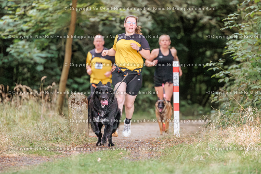 THS-Quakenbrück-2026-Nickbest-Hundefotografie-0772 | Dein Hund! Dein Moment! Deine Erinnerungen! Hundefotografie in Bremen Blumenthal. Ich fange die besonderen Momente deines Vierbeiners ein – ob Indoor mit Blitzanlage oder in der freien Natur. Sicher dir dein Moment und dein Termin für eure Erinnerungen.