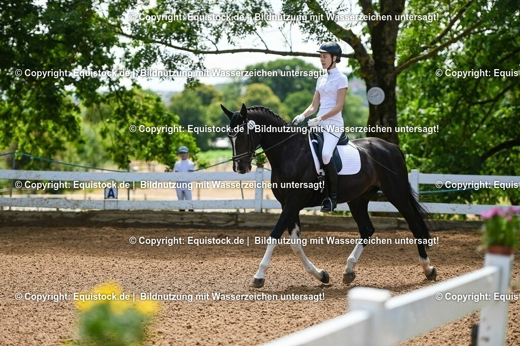 20230716_03_Dressurprfg. Kl.L - Tr._0014 | equistock