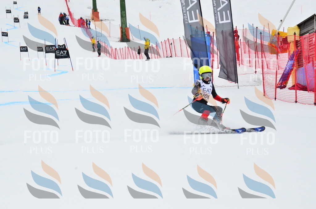 _ELE3565 | holidayphoto