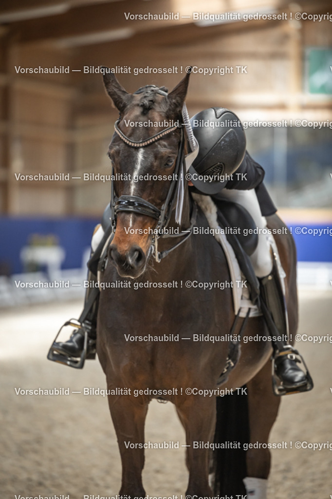 _D5A2991 | Emotionale Pferde- & People-Fotografie rund um Heidelberg, Leimen & Umgebung. Natürliche Fotos von Pferd, Mensch & Familie. Jetzt Termin sichern!