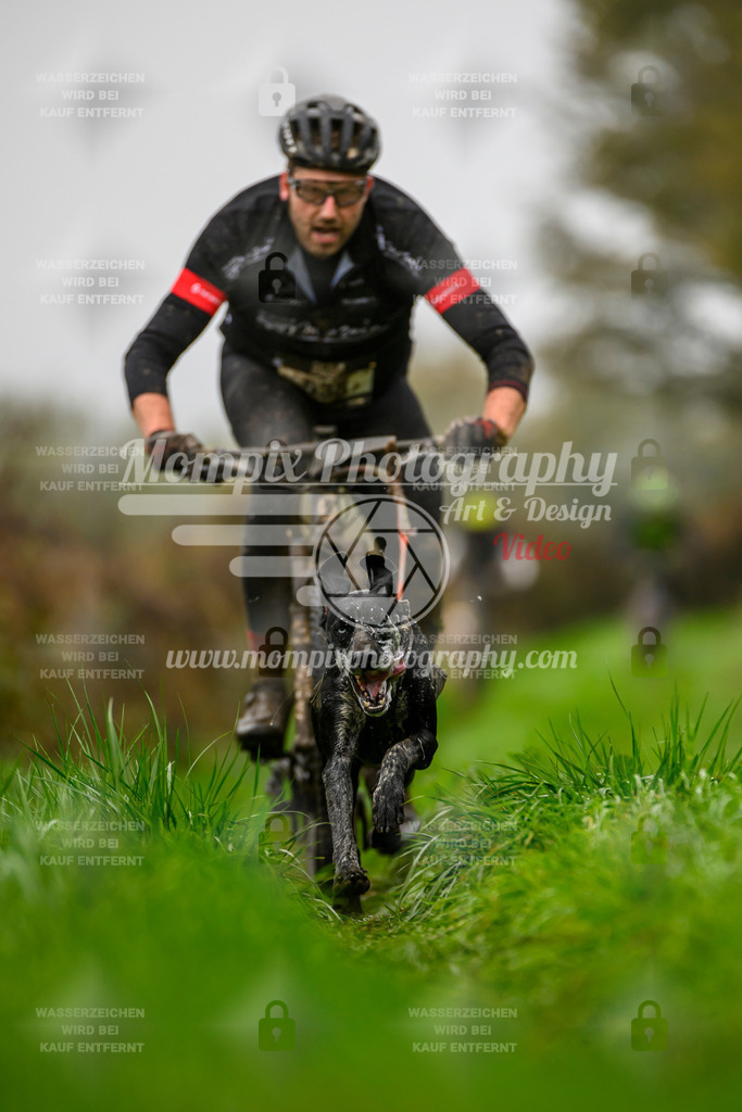 MompixPhotography_20TSB_E8_Bike-34 | PayLife