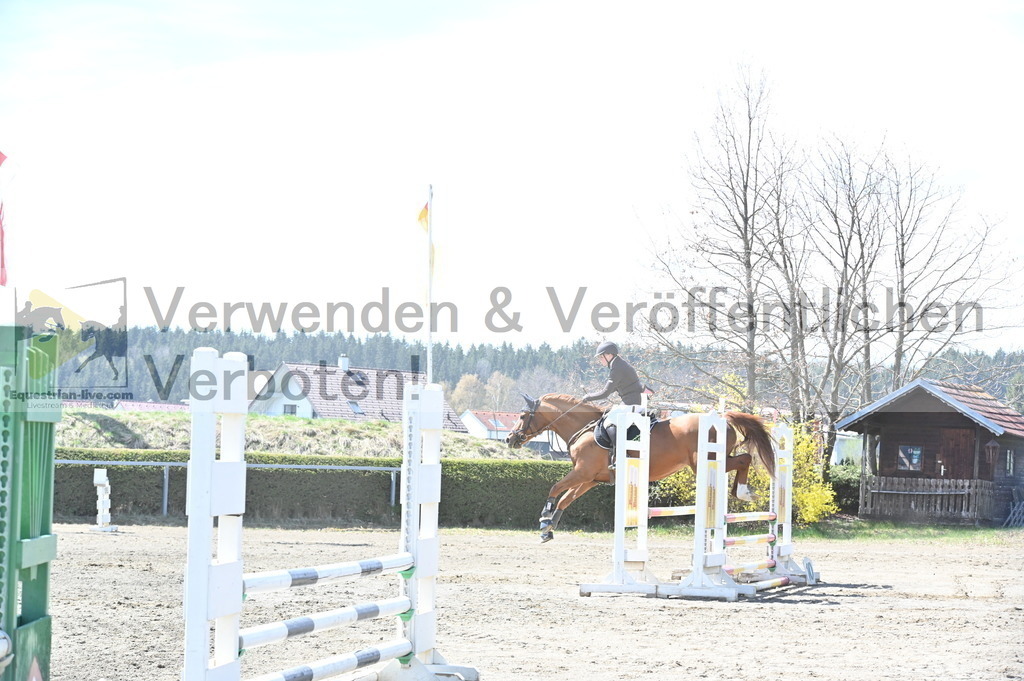 DSC_5000 | equestrian-live-com