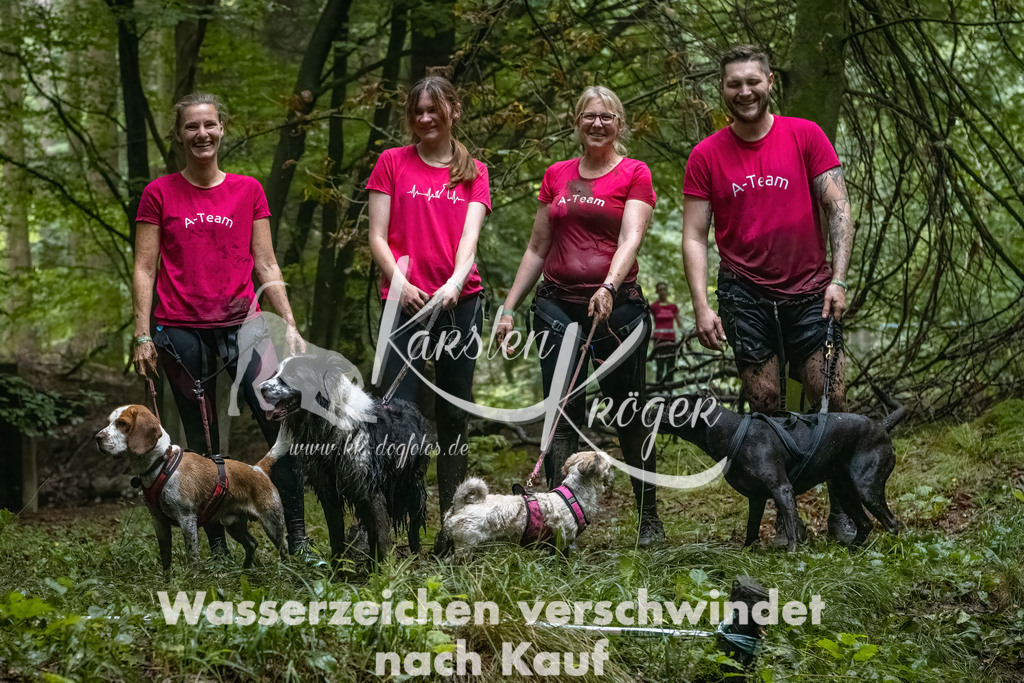 1146_ZZ91623-Bearbeitet-2 | kk-dogfotos