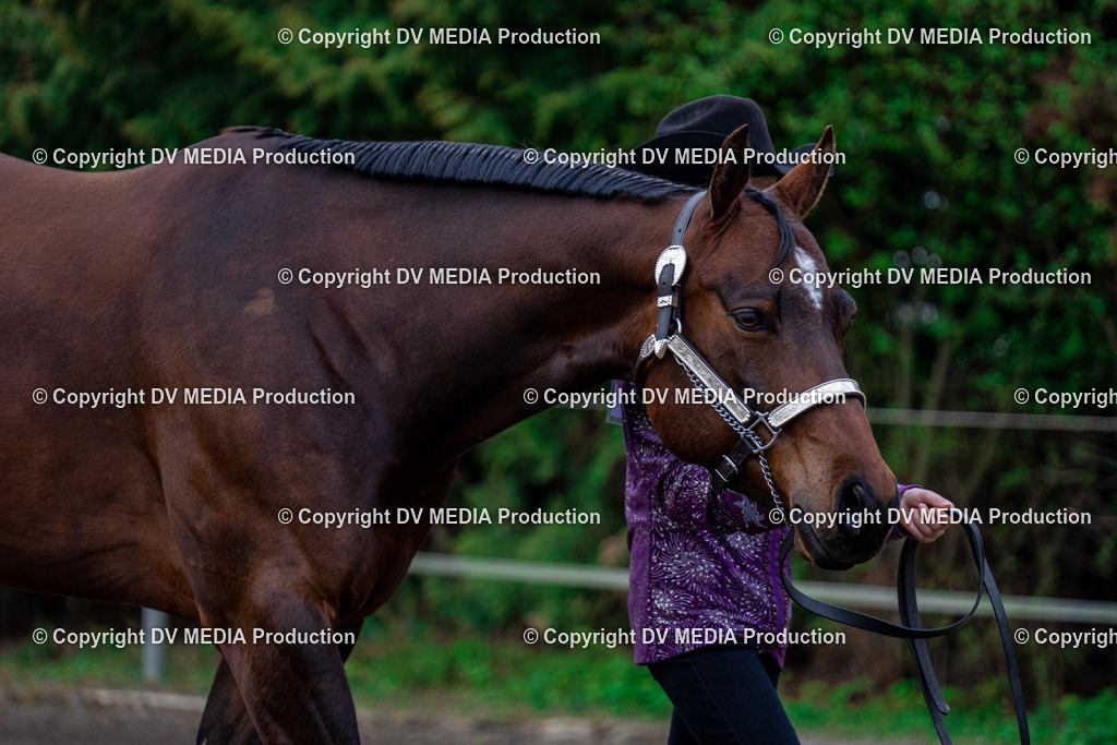 BA300023 | dv-media-shop - Realisiert mit Pictrs.com