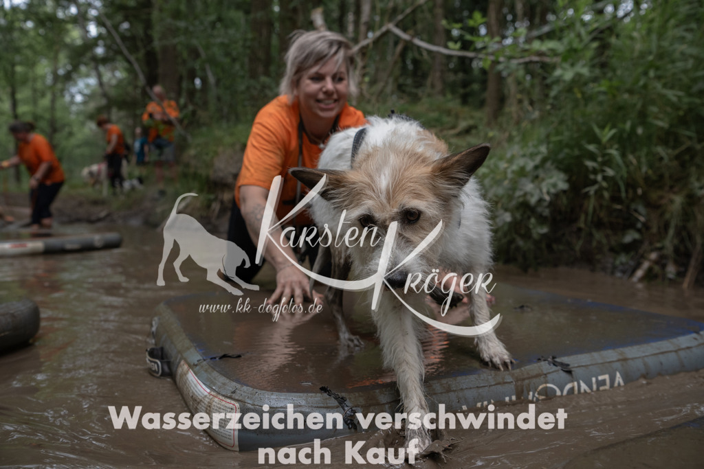 1343_ZZ95615 | kk-dogfotos