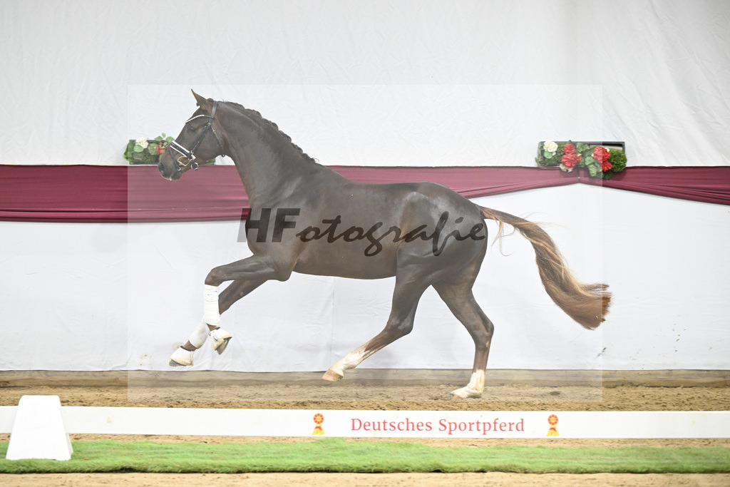 Kat-Nr. 126 Va Bene x Fuerst Jazz_Johannes Gaab_47254186 | hf-fotografie - Realisiert mit Pictrs.com