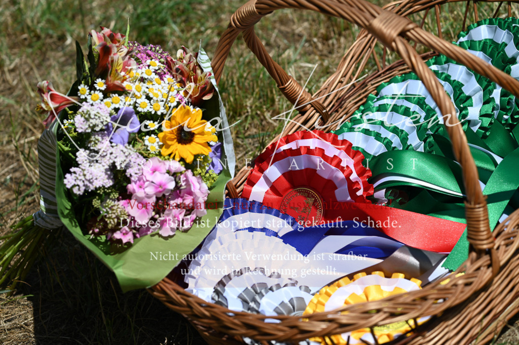 DSC_9912 | Pferde- und Turnierfotografie in Westsachsen. Pferdeportraits, Auftragszeichnungen und intuitive Kunst.