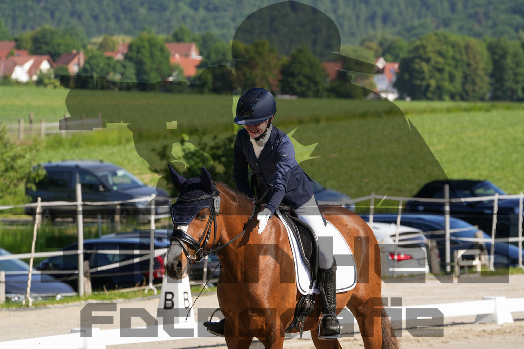 DSC02836 | Julian Held Fotografie - Realisiert mit Pictrs.com